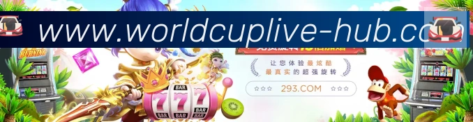 多彩内容专区